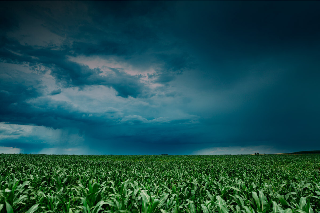 CLIMA.png