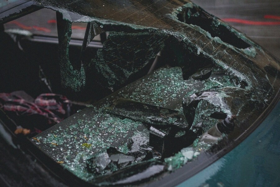 animal-enfurecido-destroi-carro-saiba-como-seguro-pode-agir-neste-caso