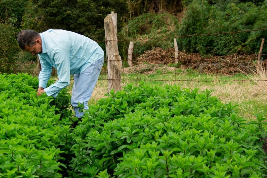 contratacao-de-seguros-de-vida-aumenta-entre-produtores-rurais