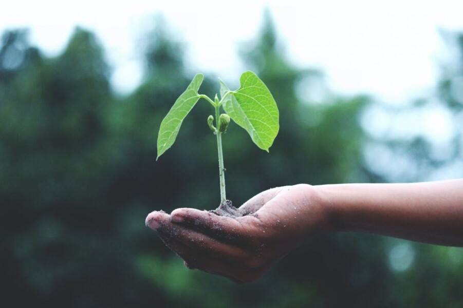 sancor-seguros-reforca-compromisso-com-a-sustentabilidade