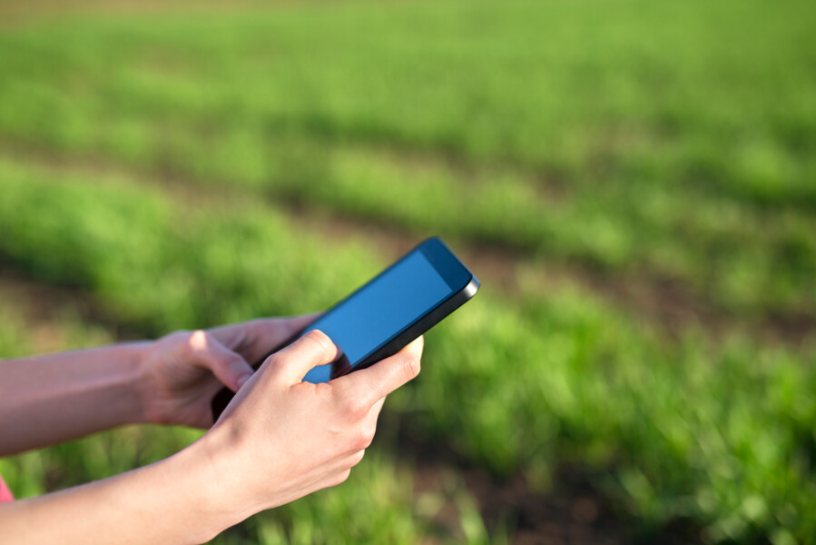 ff-seguros-aposta-em-tecnologia-para-tornar-o-seguro-agricola-mais-preciso