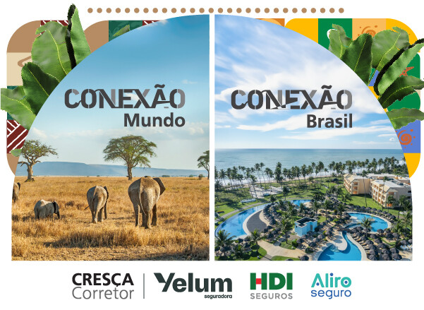 grupo-hdi-premia-mais-de-200-corretores-com-viagens-para-a-africa-do-sul-e-bahia