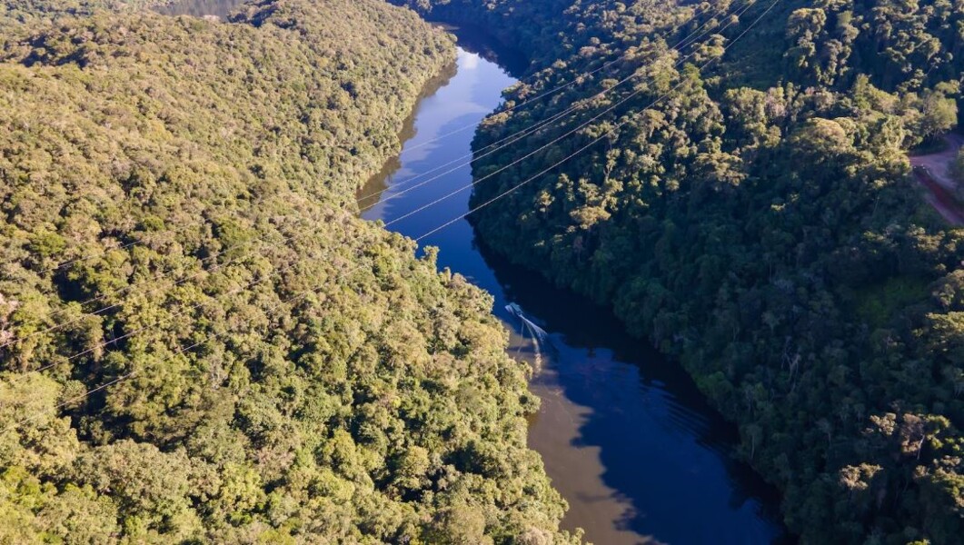 floresta-mapfre-alcanca-30-mil-mudas-plantadas-e-inicia-nova-etapa-no-projeto