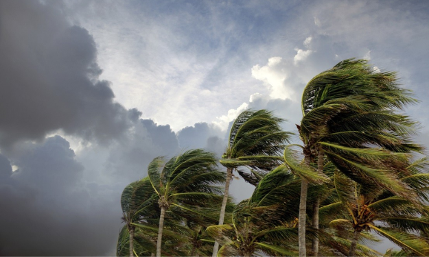 fgv-e-irbre-firmam-parceria-para-ampliar-pesquisas-em-seguros-e-riscos-climaticos