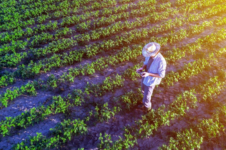 seguro-parametrico-cresce-no-brasil-mas-requer-solida-base-de-dados-para-ser-mais-eficaz-destaca-estudo-do-fgv-agro