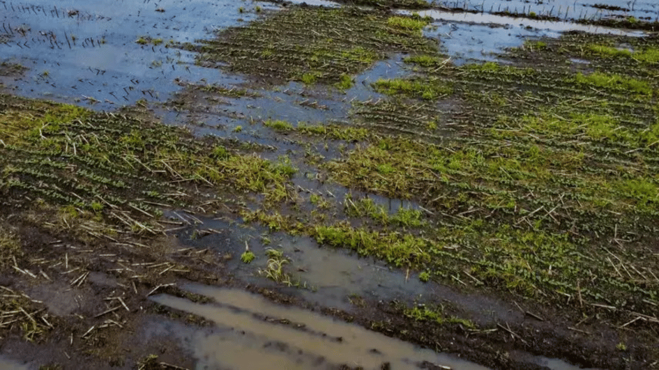el-nino-forte-aumenta-atencao-sobre-riscos-do-seguro-rural-na-safra-202627