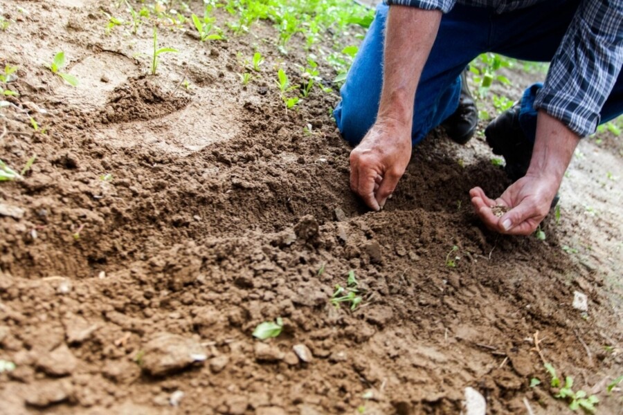 desastres-climaticos-aumentam-e-seguro-rural-nao-acompanha-crises