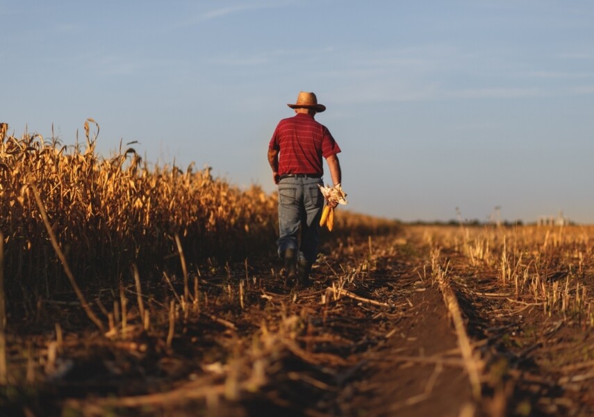 governo-divulga-portaria-sobre-seguro-rural